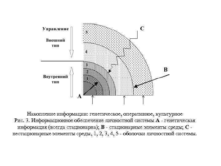 Накопление информации: генетическое, оперативное, культурное Рис. 3. Информационное обеспечение личностной системы A - генетическая