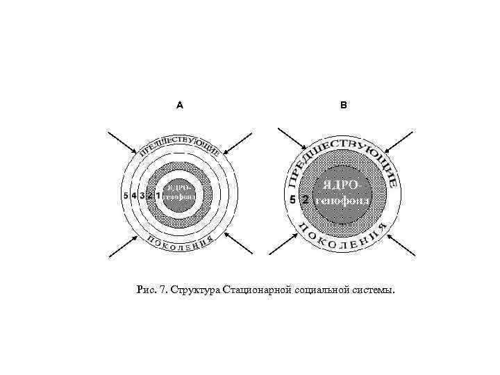 A B Рис. 7. Структура Стационарной социальной системы. 
