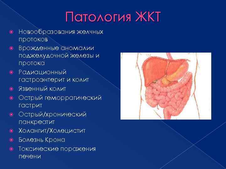 Патология ЖКТ Новообразования желчных протоков Врожденные аномалии поджелудочной железы и протока Радиационный гастроэнтерит и