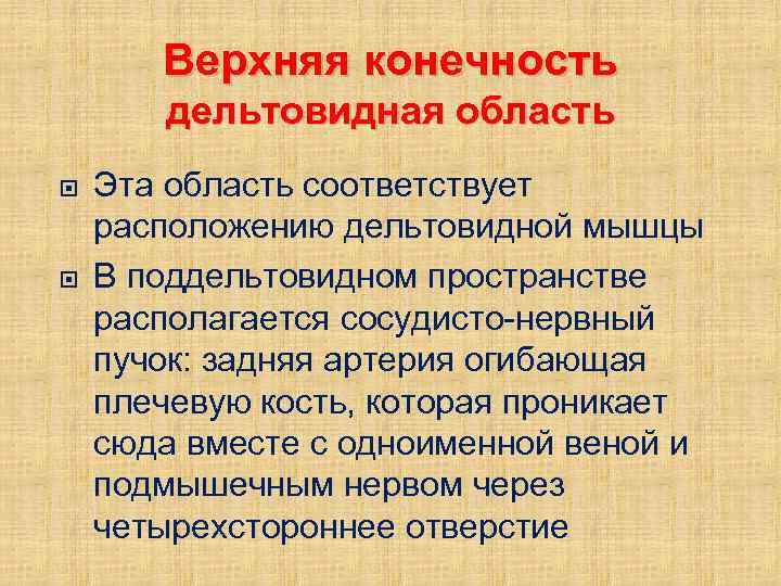 Верхняя конечность дельтовидная область Эта область соответствует расположению дельтовидной мышцы В поддельтовидном пространстве располагается