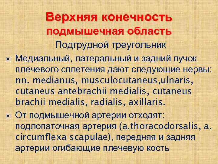 Верхняя конечность подмышечная область Подгрудной треугольник Медиальный, латеральный и задний пучок плечевого сплетения дают