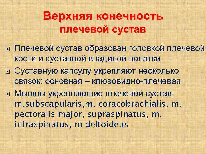 Верхняя конечность плечевой сустав Плечевой сустав образован головкой плечевой кости и суставной впадиной лопатки