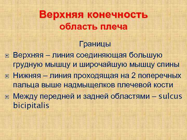 Верхняя конечность область плеча Границы Верхняя – линия соединяющая большую грудную мышцу и широчайшую