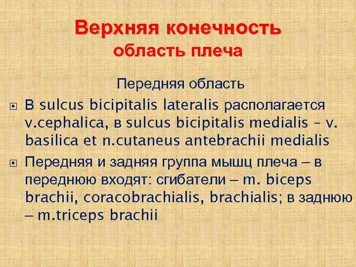 Верхняя конечность область плеча Передняя область В sulcus bicipitalis lateralis располагается v. cephalica, в