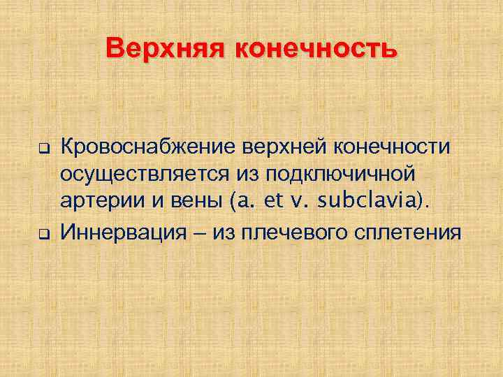 Верхняя конечность q q Кровоснабжение верхней конечности осуществляется из подключичной артерии и вены (a.