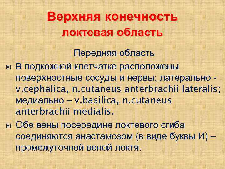 Верхняя конечность локтевая область Передняя область В подкожной клетчатке расположены поверхностные сосуды и нервы: