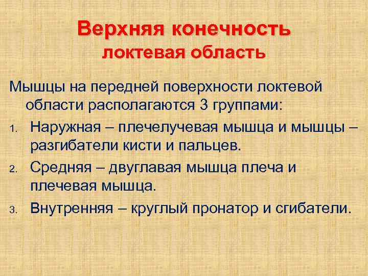 Верхняя конечность локтевая область Мышцы на передней поверхности локтевой области располагаются 3 группами: 1.