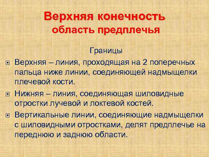 Верхняя конечность область предплечья Границы Верхняя – линия, проходящая на 2 поперечных пальца ниже