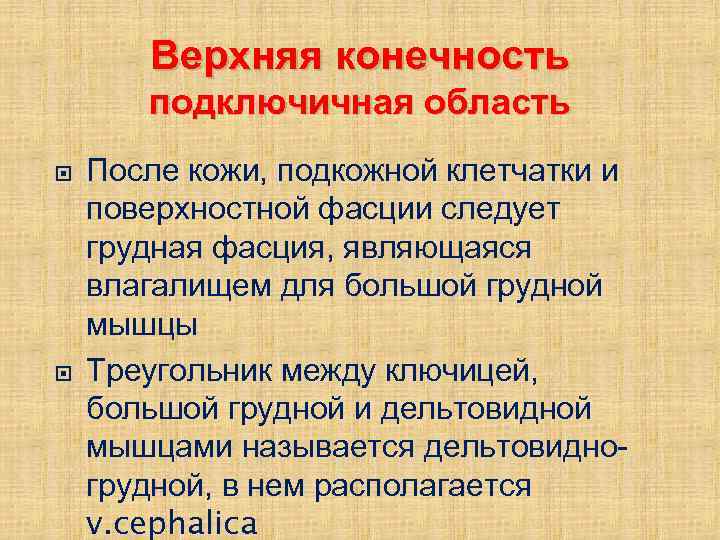 Верхняя конечность подключичная область После кожи, подкожной клетчатки и поверхностной фасции следует грудная фасция,