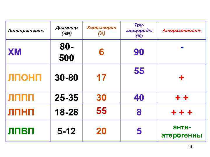 Липопротеины ХМ Диаметр (н. М) 80500 Холестерин (%) 6 ЛПОНП 30 -80 17 ЛППП