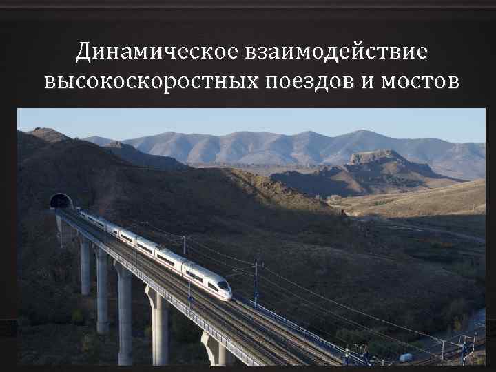 Динамическое взаимодействие высокоскоростных поездов и мостов 