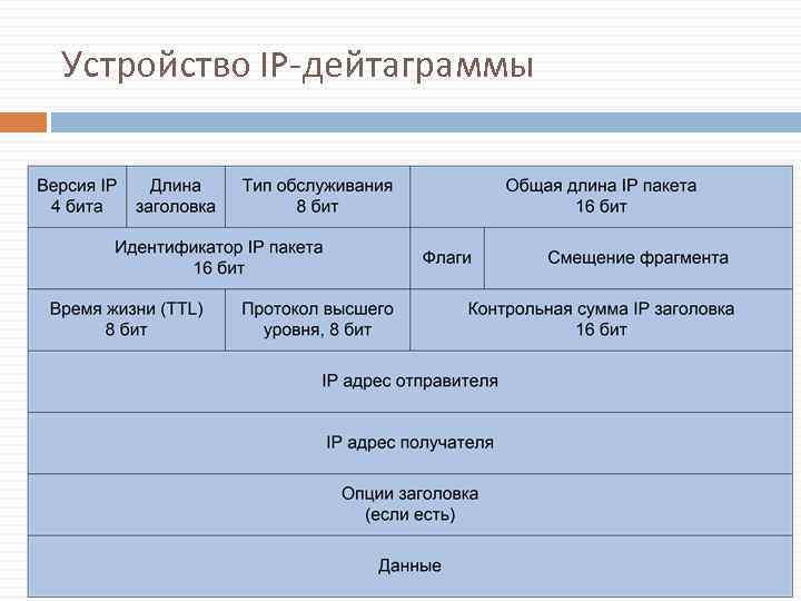 Устройство IP-дейтаграммы 