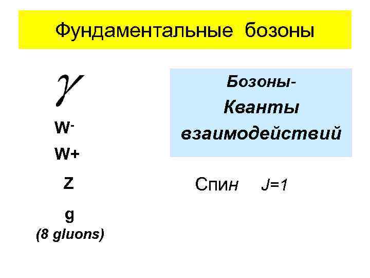Фундаментальные бозоны Бозоны. W- Кванты взаимодействий W+ Z g (8 gluons) Спин J=1 