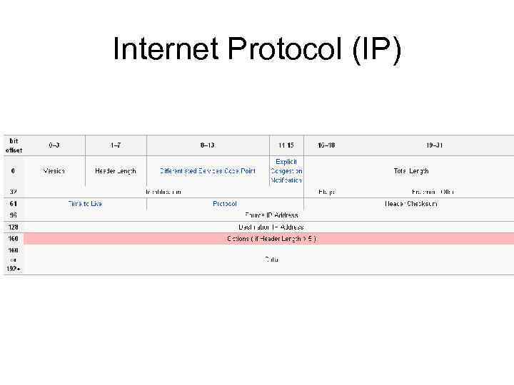 Internet Protocol (IP) 