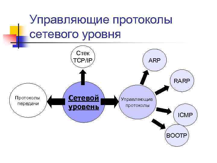 Сетевые протоколы. Протоколы сетевого уровня. Управляющие протоколы сетевого уровня. Сетевые протоколы схема. Диаграмма протоколов сетевых.