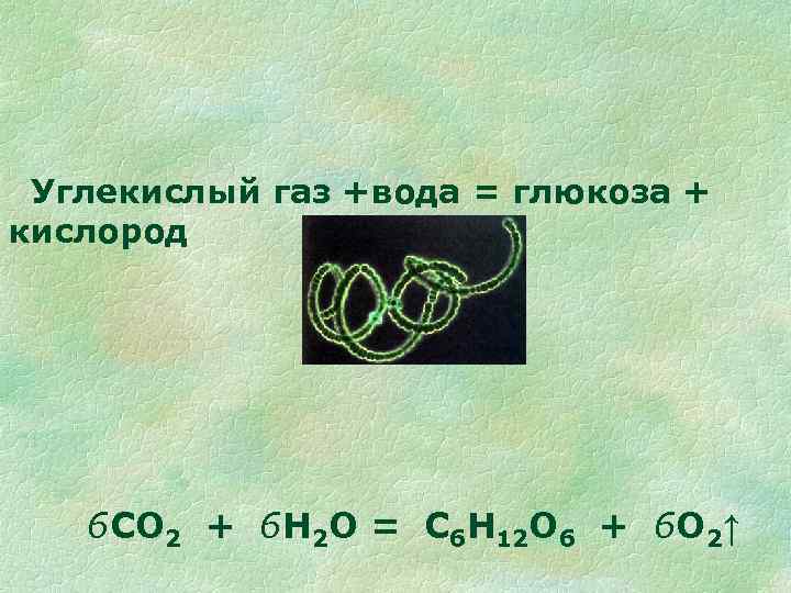 Углекислый газ глюкоза. Углекислый ГАЗ И вода. Диоксид углерода и вода. Глюкоза кислород углекислый ГАЗ вода. Формула углекислого газа и воды.