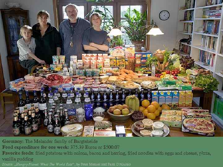 Germany: The Melander family of Bargteheide Food expenditure for one week: 375. 39 Euros