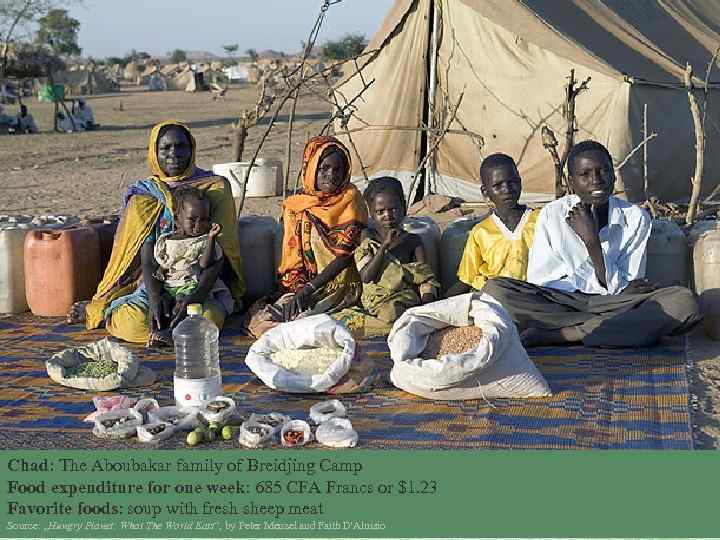 Chad: The Aboubakar family of Breidjing Camp Food expenditure for one week: 685 CFA