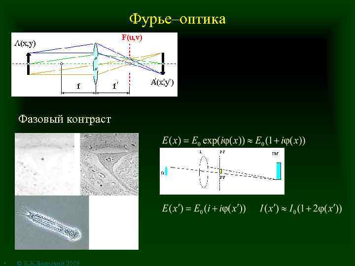 Фурье–оптика Фазовый контраст • © К. К. Боярский 2009 