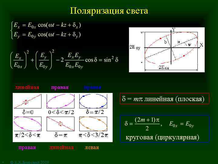 Поляризация света линейная правая = m линейная (плоская) круговая (циркулярная) правая • © К.