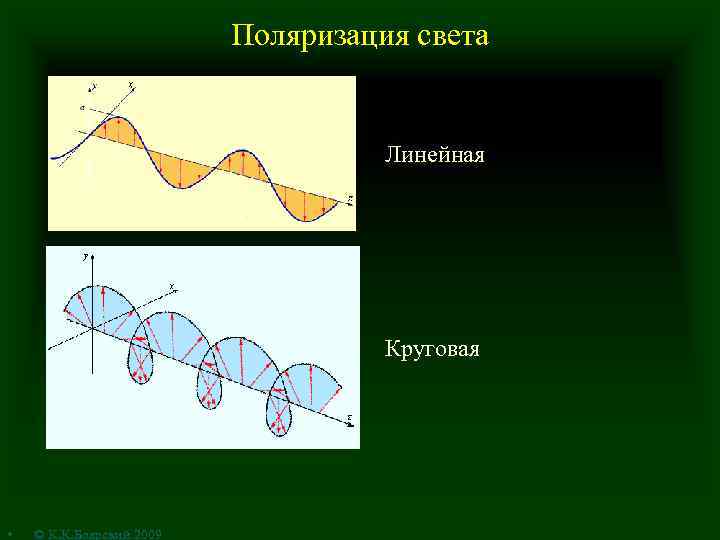 Поляризация света Линейная Круговая • © К. К. Боярский 2009 