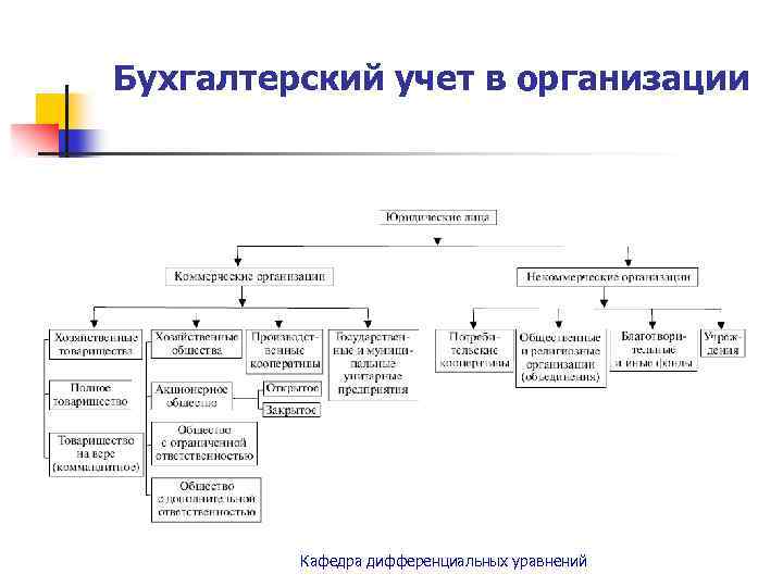 Бухгалтерский учет в организации Кафедра дифференциальных уравнений 