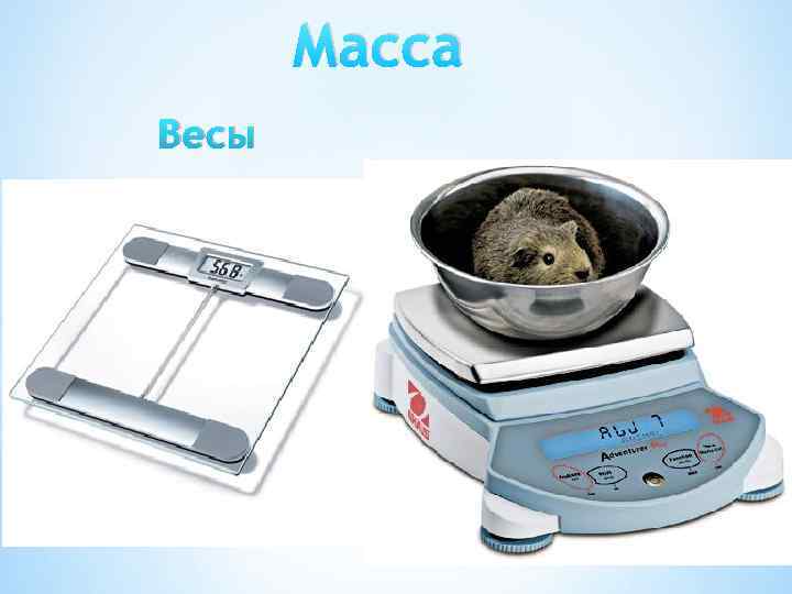 Масса Весы 