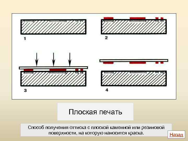 Плоская печать Способ получения оттиска с плоской каменной или резиновой поверхности, на которую наносится