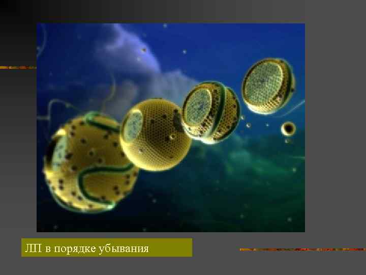 ЛП в порядке убывания 