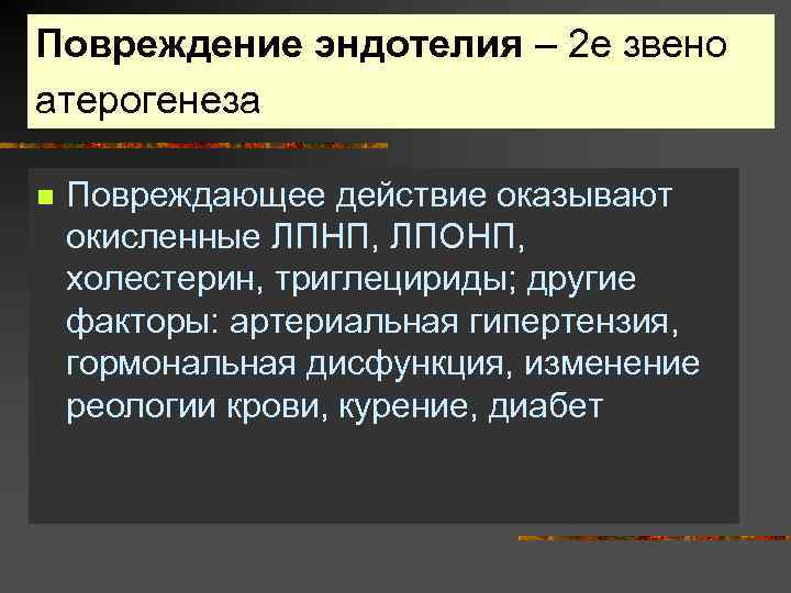 Повреждение эндотелия – 2 е звено атерогенеза n Повреждающее действие оказывают окисленные ЛПНП, ЛПОНП,