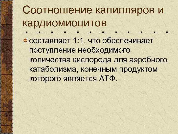 Соотношение капилляров и кардиомиоцитов составляет 1: 1, что обеспечивает поступление необходимого количества кислорода для