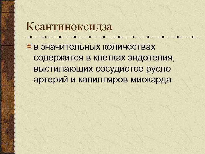 Ксантиноксидза в значительных количествах содержится в клетках эндотелия, выстилающих сосудистое русло артерий и капилляров