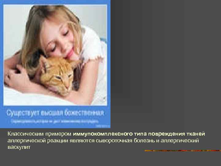 Классическим примером иммупокомплексного типа повреждения тканей аллергической реакции являются сывороточная болезнь и аллергический васкулит