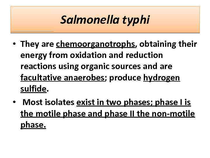 Salmonella typhi • They are chemoorganotrophs, obtaining their energy from oxidation and reduction reactions
