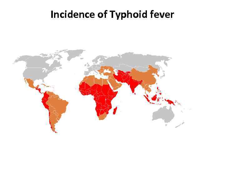 Incidence of Typhoid fever 