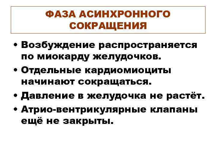 ФАЗА АСИНХРОННОГО СОКРАЩЕНИЯ • Возбуждение распространяется по миокарду желудочков. • Отдельные кардиомиоциты начинают сокращаться.