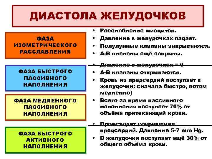 ДИАСТОЛА ЖЕЛУДОЧКОВ • • Расслабление миоцитов. Давление в желудочках падает. Полулунные клапаны закрываются. А-В