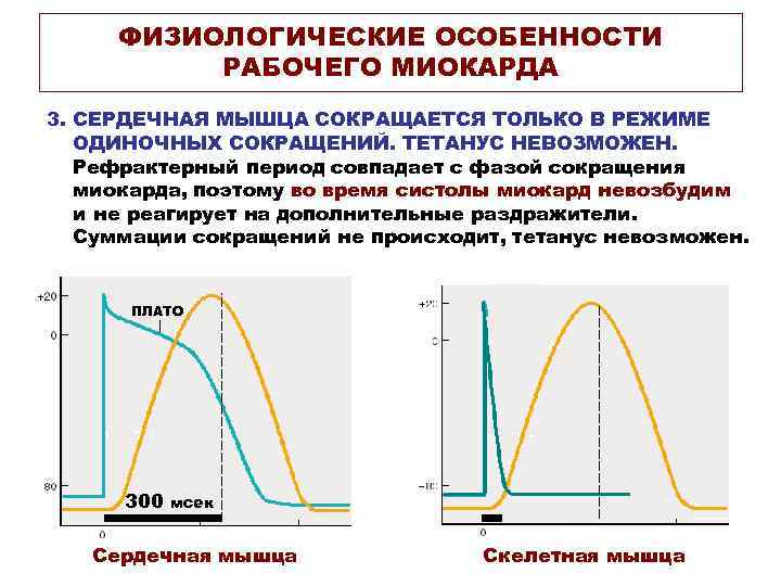 ФИЗИОЛОГИЧЕСКИЕ ОСОБЕННОСТИ РАБОЧЕГО МИОКАРДА 3. СЕРДЕЧНАЯ МЫШЦА СОКРАЩАЕТСЯ ТОЛЬКО В РЕЖИМЕ ОДИНОЧНЫХ СОКРАЩЕНИЙ. ТЕТАНУС