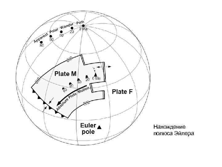 Нахождение полюса Эйлера 