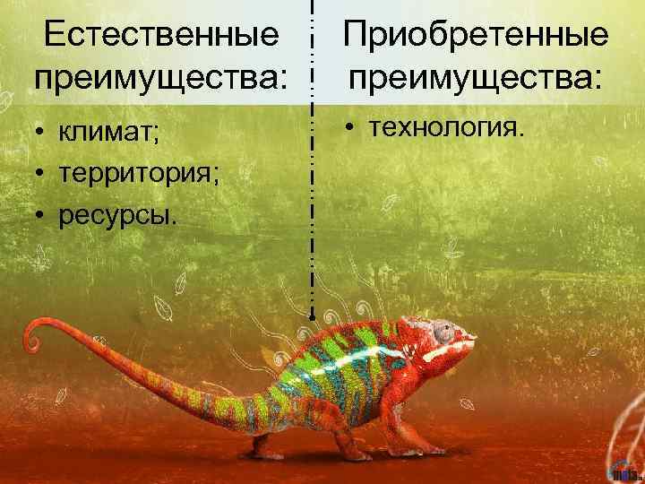Естественные преимущества: Приобретенные преимущества: • климат; • территория; • ресурсы. • технология. 