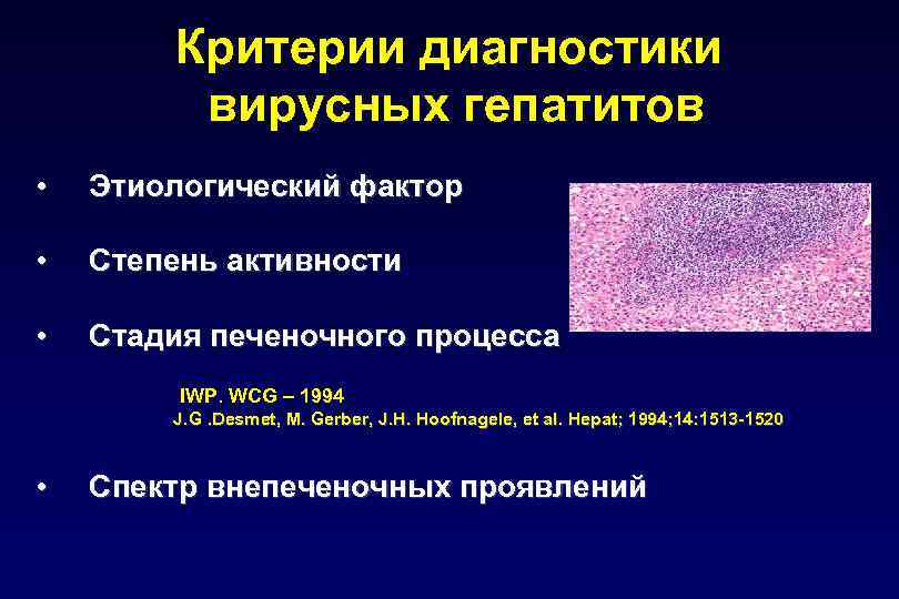 Критерии диагностики вирусных гепатитов • Этиологический фактор • Степень активности • Стадия печеночного процесса