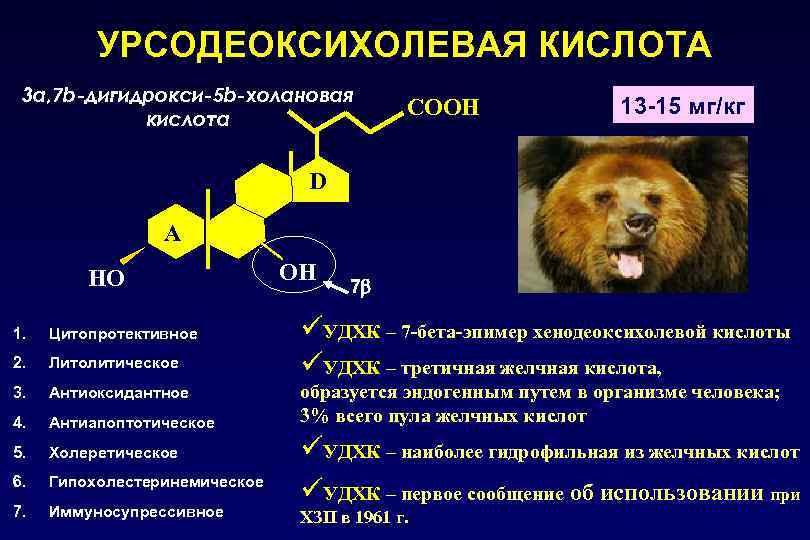 УРСОДЕОКСИХОЛЕВАЯ КИСЛОТА 3 a, 7 b-дигидрокси-5 b-холановая кислота СOOH 13 -15 мг/кг D А