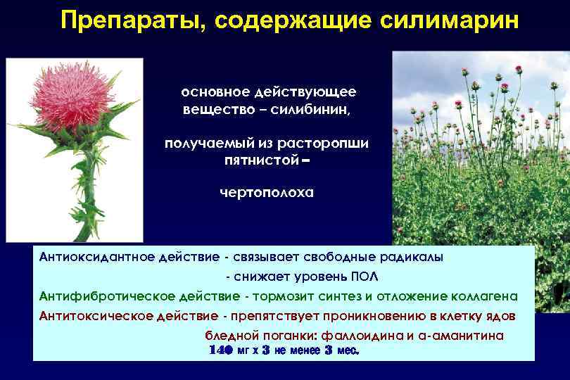 Препараты, содержащие силимарин основное действующее вещество – силибинин, получаемый из расторопши пятнистой – чертополоха