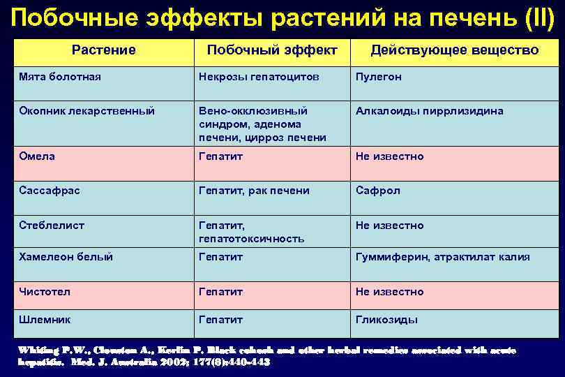 Побочные эффекты растений на печень (II) Растение Побочный эффект Действующее вещество Мята болотная Некрозы