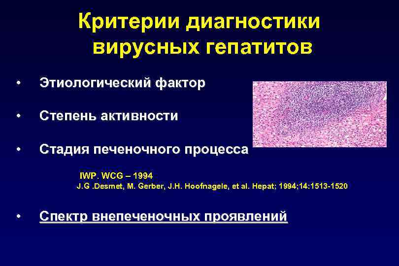 Критерии диагностики вирусных гепатитов • Этиологический фактор • Степень активности • Стадия печеночного процесса