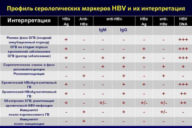 Профиль серологических маркеров HBV и их интерпретация Интерпретация HBs Ag Anti. HBs anti-HBc HBe