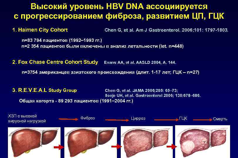 Высокий уровень HBV DNA ассоциируется с прогрессированием фиброза, развитием ЦП, ГЦК 1. Haimen City