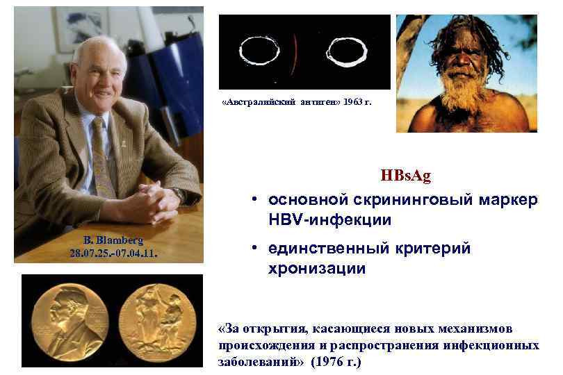  «Австралийский антиген» 1963 г. HBs. Ag • основной скрининговый маркер HBV-инфекции B. Blamberg