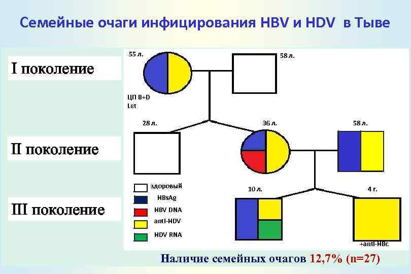 Семейные очаги инфицирования HBV и HDV в Тыве 55 л. 58 л. I поколение