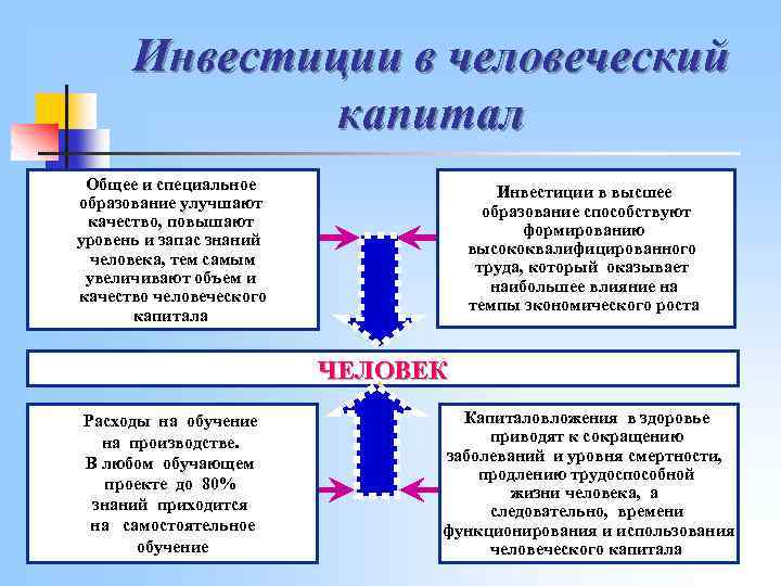 Человеческий капитал план